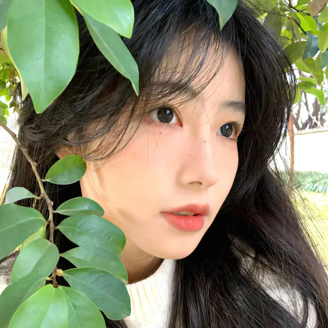 谣言风暴