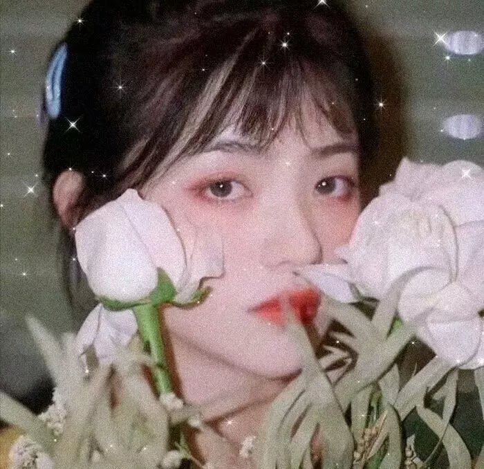 新野人记